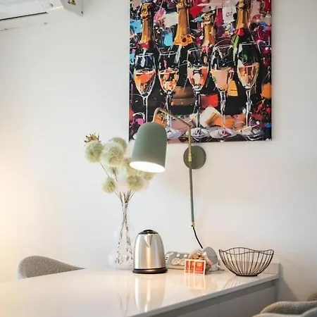 Apartman Le Coq Elisee - Parking - Ac - Wi-fi - Downtown